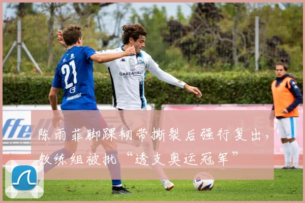 陈雨菲脚踝韧带撕裂后强行复出，教练组被批“透支奥运冠军”